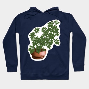 Schefflera Arboricola Hoodie